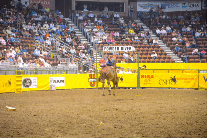 Rodeo-Page-700x465