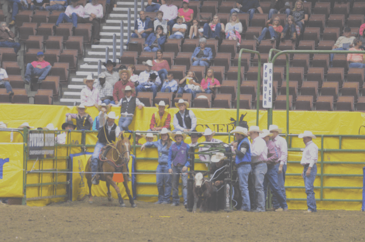 Rodeo-Web-Pic